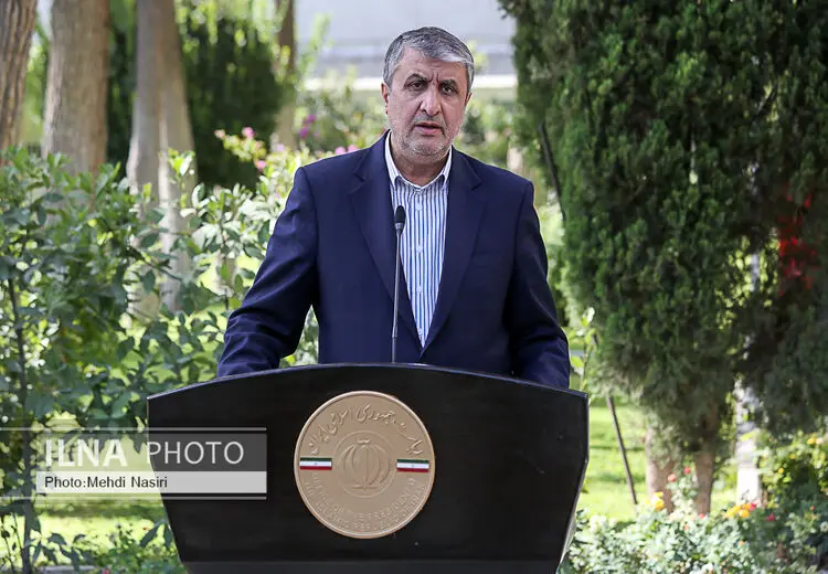 واکنش رییس سازمان انرژی اتمی به ادعای آژانس درباره فردو