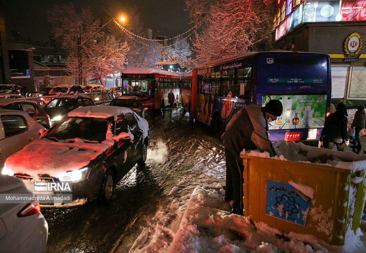 زباله گردی به وقت بارش برف