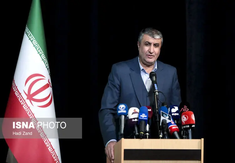 اسلامی: سفر گروسی به تهران بر اساس تکلیف شورای امنیت به آژانس است