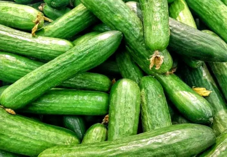 نوبت گرانی به خیار رسید