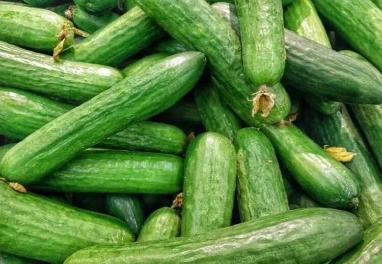 نوبت گرانی به خیار رسید