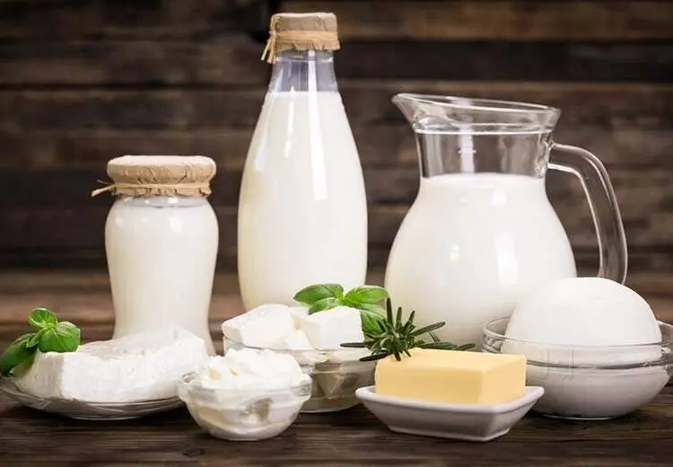 آیا لبنیات موجب التهاب در بدن می‌شود؟