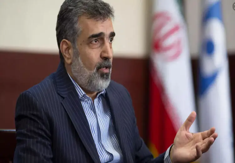 کمالوندی خبر داد: ورود ۳۸ تن سوخت نیروگاه بوشهر به کشور