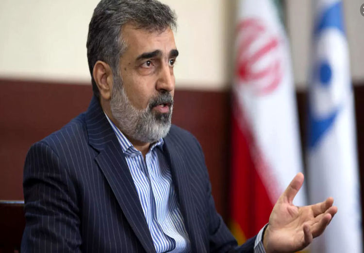 کمالوندی خبر داد: ورود ۳۸ تن سوخت نیروگاه بوشهر به کشور