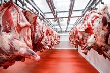 عرضه گوشت وارداتی با قیمت زیر ۷۰۰ هزار تومان از هفته آینده