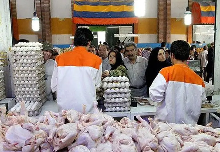 مرغ و تخم مرغ باز هم ارزان شدند