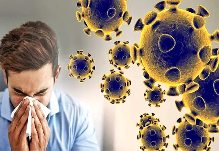 حدود ۲۰۰ ویروس عامل سرماخوردگی هستند