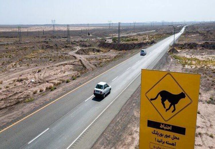 جریمه سرعت برای رانندگان در محدوده تردد یوزپلنگ‌ها