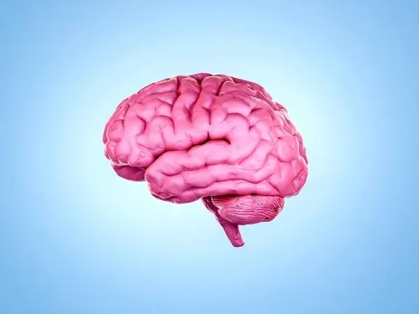 دستاوردهای امیدوارکننده ۲۰۲۵ برای زوال عقل سالمندان 