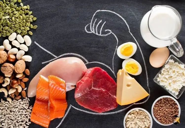 پروتئین مورد نیاز روزانه در افراد مختلف چقدر است؟
