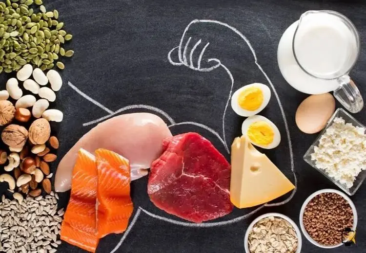 پروتئین مورد نیاز روزانه در افراد مختلف چقدر است؟