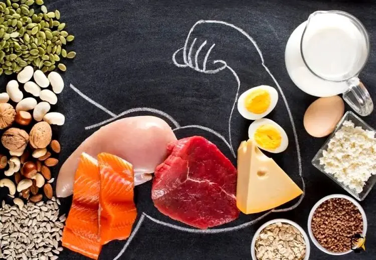 پروتئین مورد نیاز روزانه در افراد مختلف چقدر است؟