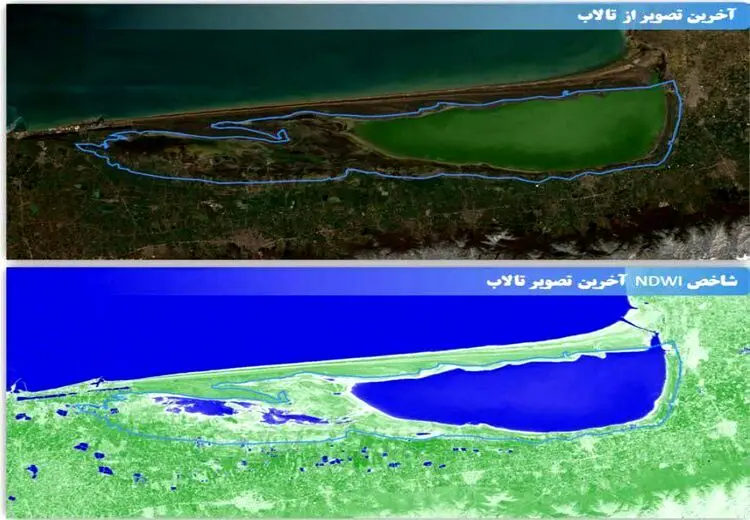 نصف میانکاله خشکید! + عکس