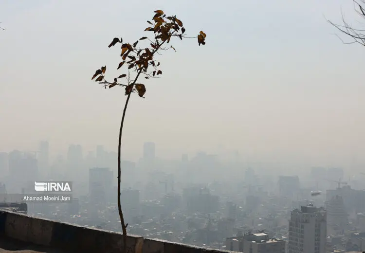 هوای تهران همچنان ناسالم است