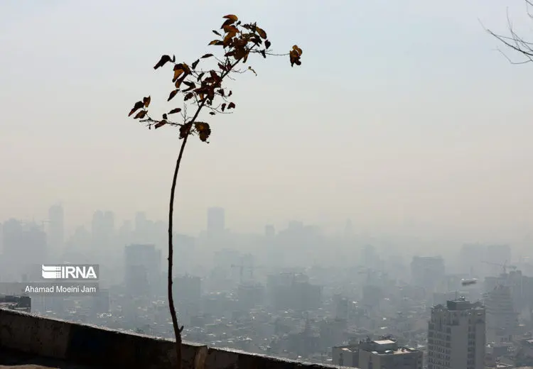 هوای تهران همچنان ناسالم است