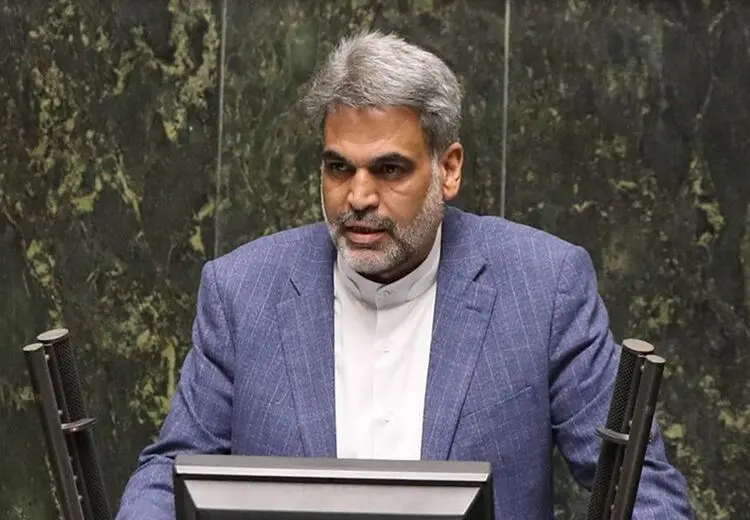نماینده مجلس: ۱۰ یورو برای مسافرانی که به خارج می‌روند چیزی نیست / زائران اربعین نباید این پول را پرداخت کنند