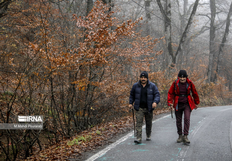 باورکردنی نیست اما پیاده روی برای همه مفید نیست!