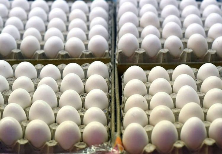 تخم مرغ دانه ای چند؟