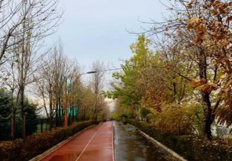 شهریه نجومی باشگاه انقلاب + عکس