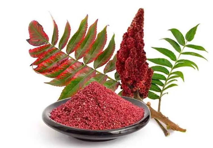۴ خاصیت اثبات شده سماق برای سلامتی