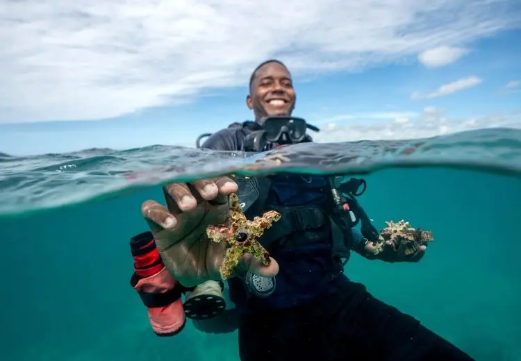 تصویری از فاجعه محیط زیستی در اعماق دریا