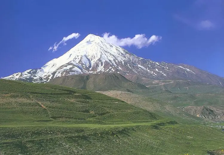 برداشت گیاهان دارویی در دماوند ممنوع شد