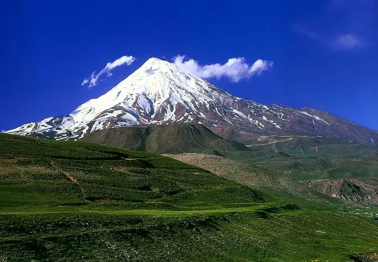 برداشت گیاهان دارویی در دماوند ممنوع شد