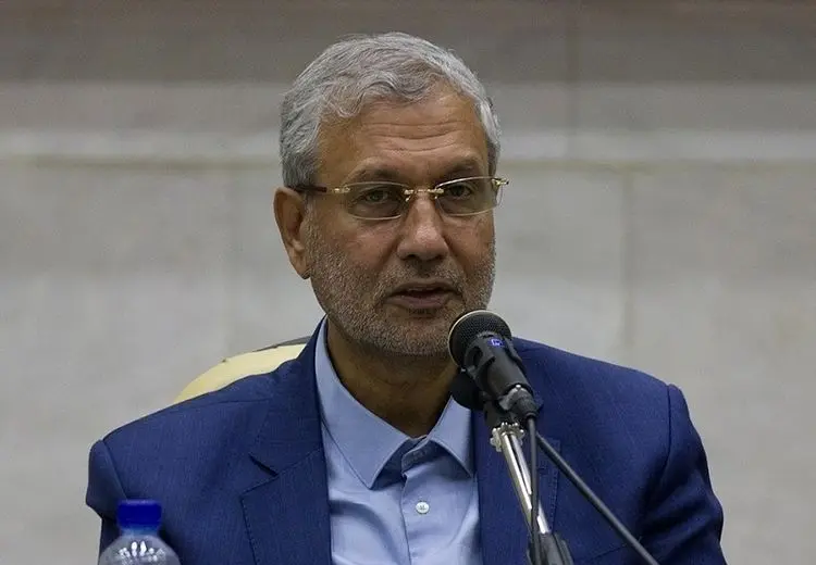 علی ربیعی: اگر روحانی رای نمی‌آورد می‌خواستند من را دستگیر کنند