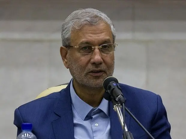 علی ربیعی: اگر روحانی رای نمی‌آورد می‌خواستند من را دستگیر کنند