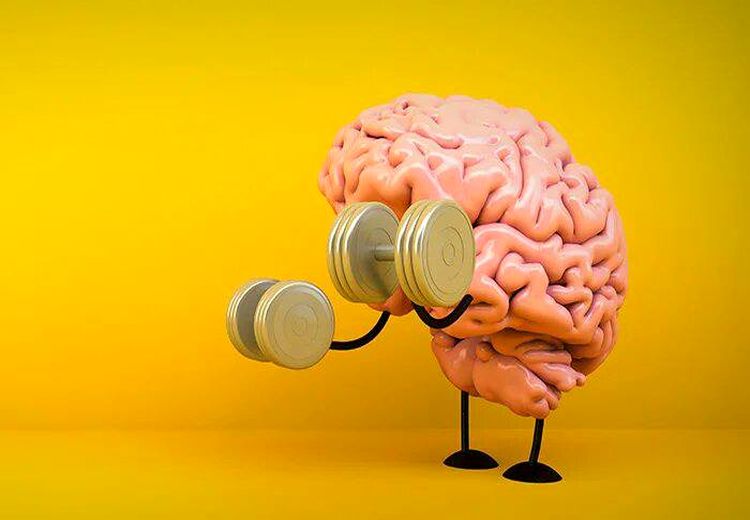 ورزش مغزی را دست‌کم نگیرید /۳ تمرین برای تقویت حافظه