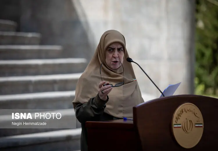 مهاجرانی سخنگوی دولت : ویتکاف سر قرار نیامد