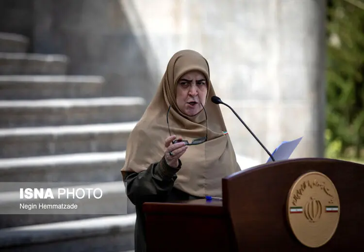مهاجرانی سخنگوی دولت : ویتکاف سر قرار نیامد