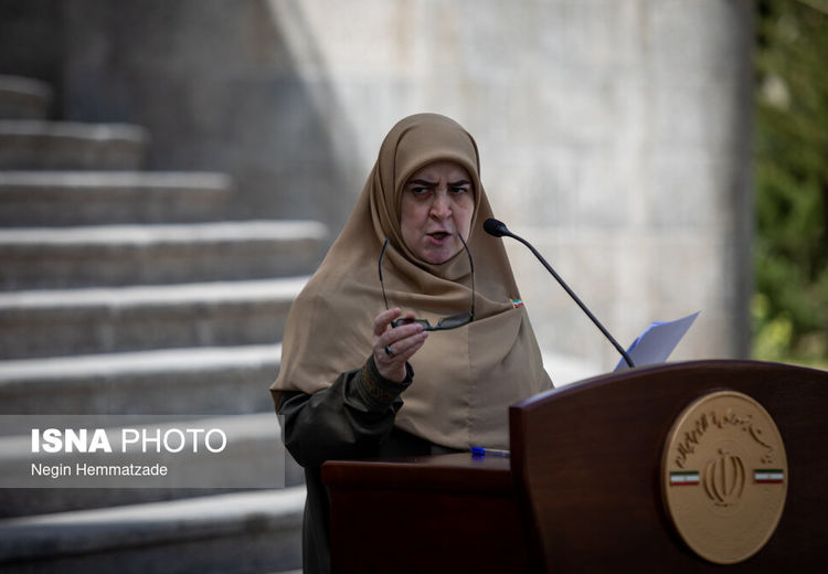 مهاجرانی سخنگوی دولت : ویتکاف سر قرار نیامد