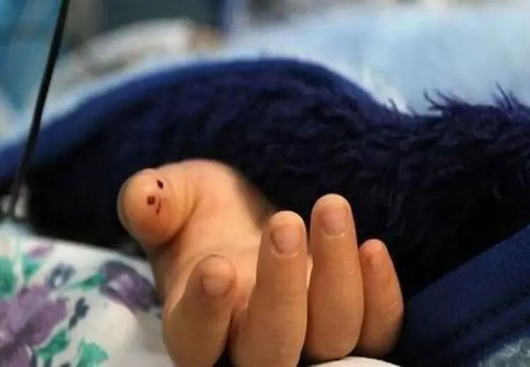 گزارش از قتل فجیع همراه با تجاوز جنسی دختر بچه ۶ ساله در بوکان؛ پدر نیان در قتل دخترش چه نقشی دارد؟