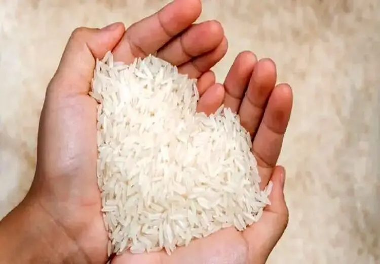 مقصر برنج ۲۵۰ هزار تومانی پیدا شد!