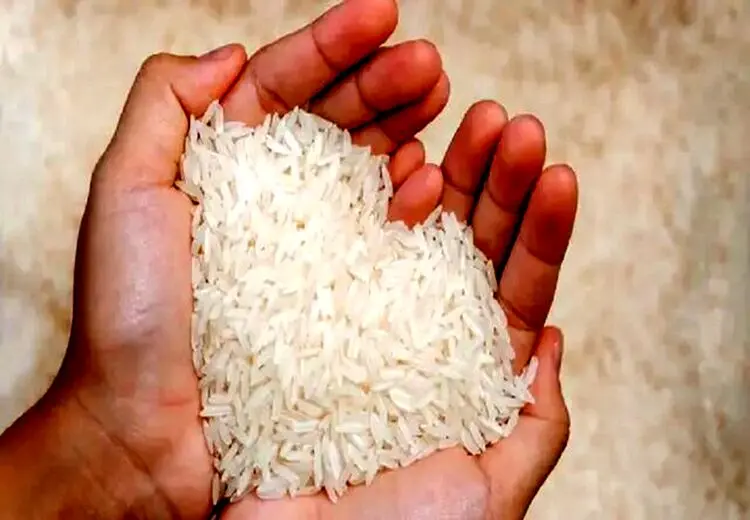 مقصر برنج ۲۵۰ هزار تومانی پیدا شد!