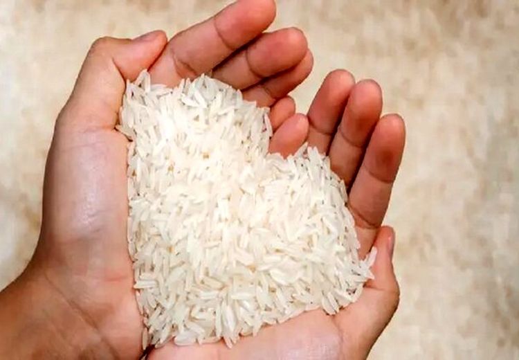 مقصر برنج ۲۵۰ هزار تومانی پیدا شد!