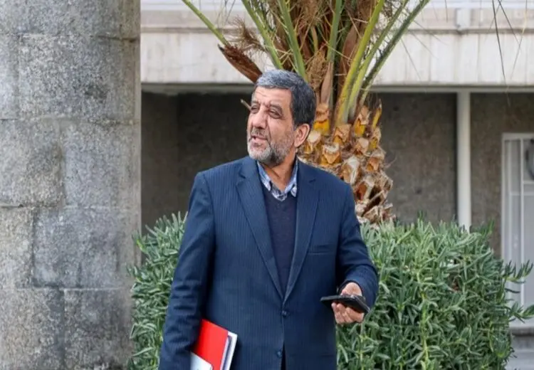 ضرغامی:رشد قارچ در تخت جمشید هیچ چیز خاصی نیست/ کسی فکر نکند، آثار تاریخی را رها کردیم!