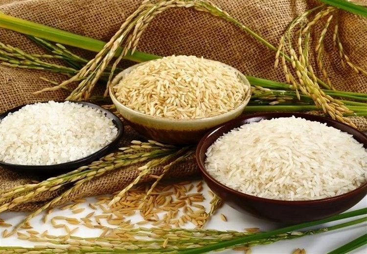 افزایش ۱۵۰۰ درصدی سم آرسنیک در برنج هندی؟