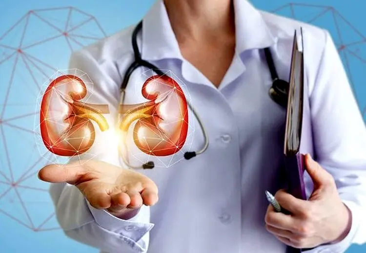 علت شیوع سنگ کلیه و علائم آن
