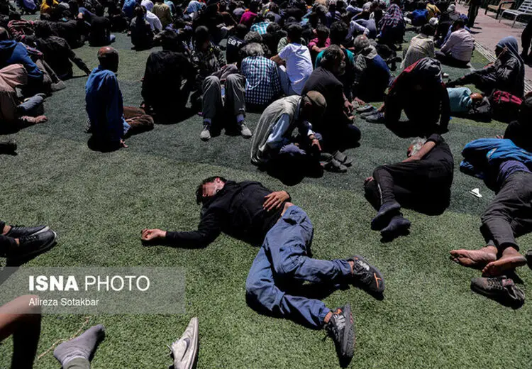 رشد چشمگیر معتادان متجاهر جمع‌آوری شده نسبت به پارسال