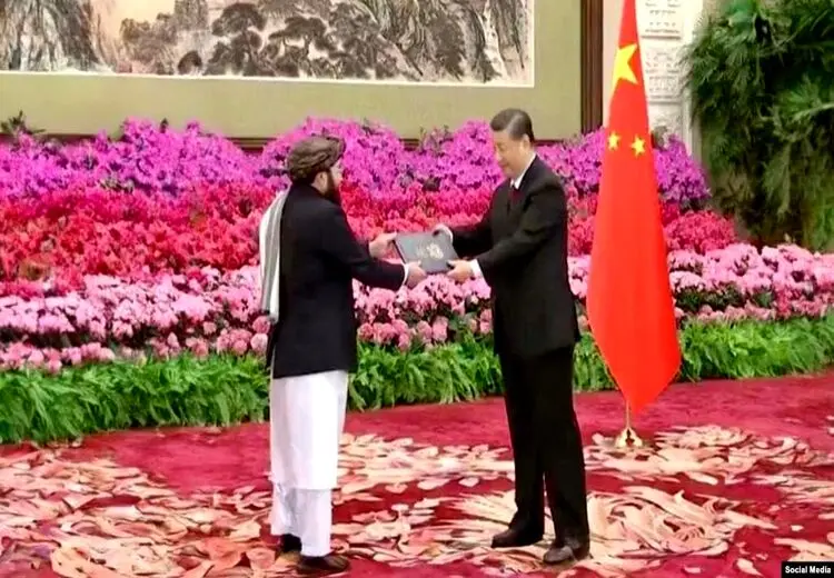 سفیر طالبان در چین آغاز به کار کرد