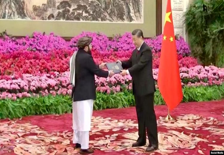 سفیر طالبان در چین آغاز به کار کرد