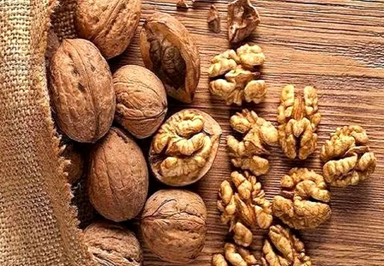 مغز خوشمزه‌ای که باعث تقویت مغز انسان می‌شود