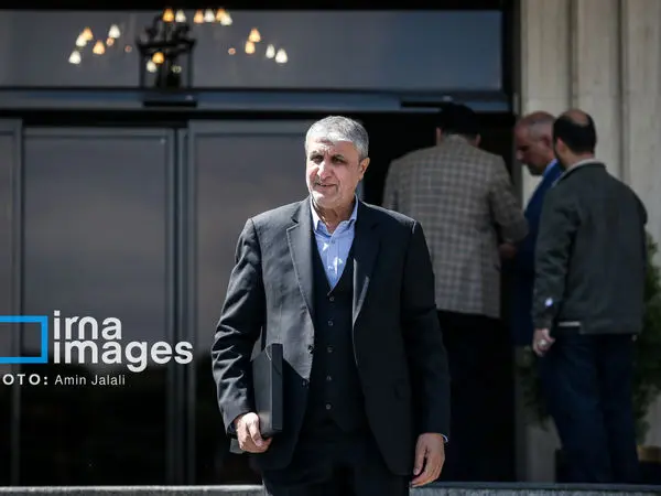 رییس سازمان انرژی اتمی ایران: اظهارنظر‌های گروسی سیاسی است