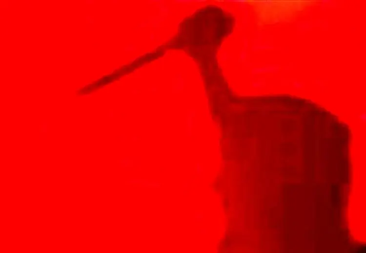 قتل زن ۱۶ ساله به دست همسرش در عجب‌شیر