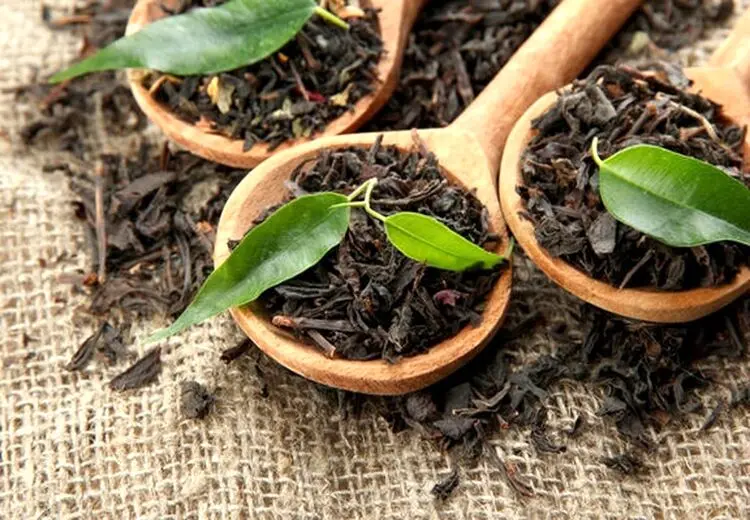 ثبت سفارش واردات چای آزاد شد