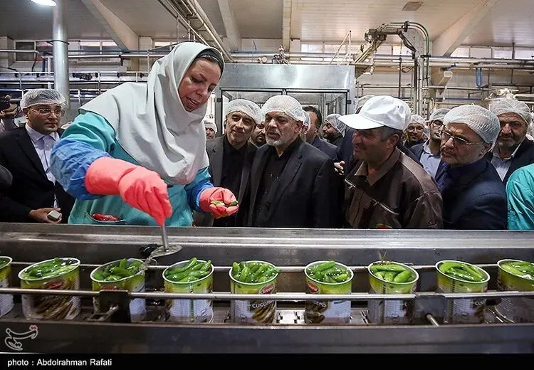 بازدید وزیر کشور از کارخانه خیارشور