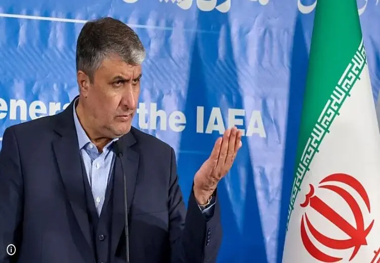 اسلامی: بازرسان آژانس را به دلیل رفتارهای سیاسیِ تند علیه ایران اخراج کردیم