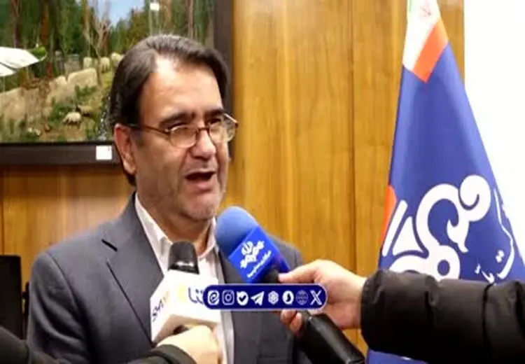 تکذیب عدم بازگشت ۸ میلیارد دلار ارز نفتی به کشور